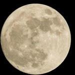 Podcast Lunatix