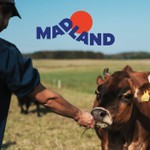 Logo of the podcast Madland Podcast Podcast Madland Podcast