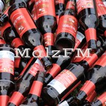 Logo of the podcast MalzFM - Biergespräche Podcast MalzFM - Biergespräche