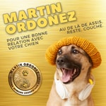 Podcast Martin Coach Canin