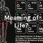 Logo of the podcast Meaning of Life? Podcast Meaning of Life?