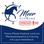 MeerSchwung - Pferdeosteopathie und Training to go Podcast MeerSchwung - Pferdeosteopathie und Training to go