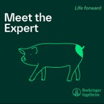 Logo of the podcast Meet the Expert Podcast Meet the Expert