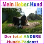 Logo of the podcast Mein lieber Hund Podcast Mein lieber Hund