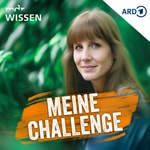 Logo of the podcast Meine Challenge Podcast Meine Challenge