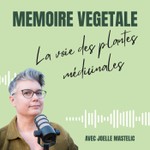 Logo of the podcast Mémoire végétale : la voie des plantes médicinales Podcast Mémoire végétale : la voie des plantes médicinales