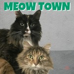 Logo of the podcast Meow Town Podcast Meow Town