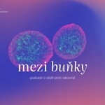 Logo of the podcast Mezi buňky. Podcast o vědě proti rakovině Podcast Mezi buňky. Podcast o vědě proti rakovině