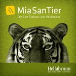 Logo of the podcast Mia san Tier - Der Zoo-Podcast aus Hellabrunn Podcast Mia san Tier - Der Zoo-Podcast aus Hellabrunn