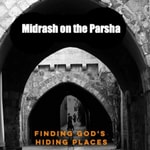 Podcast Midrash on every Parsha in the Torah. An intriguing pathway to a deeper understanding of Judaism. 
