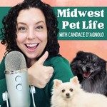 Missing podcast logo