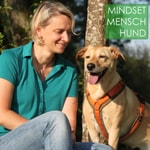 Mindset Mensch Hund Mindset Mensch Hund