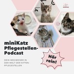 Logo of the podcast miniKatz Pflegestellen-Podcast Podcast miniKatz Pflegestellen-Podcast