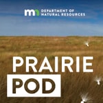Logo of the podcast Minnesota DNR Prairie Pod Podcast Minnesota DNR Prairie Pod