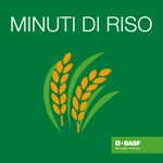 Logo of the podcast MINUTI DI RISO Podcast MINUTI DI RISO
