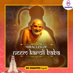 Logo of the podcast Miracles of Neem Karoli Baba Podcast Miracles of Neem Karoli Baba