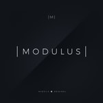 Logo of the podcast Modulus Podcast Modulus