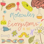 Logo of the podcast Molecules to Ecosystems | An IB Bio Podcast Podcast Molecules to Ecosystems | An IB Bio Podcast