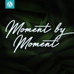 Moment by Moment Moment by Moment