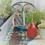 Podcast Mon-balcon-jardin