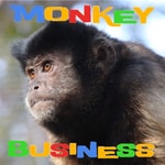 Podcast Monkey Business Podcast