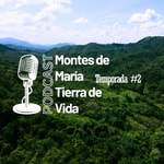 Logo of the podcast Montes de María Tierra de Vida Podcast Montes de María Tierra de Vida