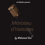 Logo of the podcast Morceau d'histoires Podcast Morceau d'histoires