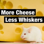More Cheese Less Whiskers Podcast More Cheese Less Whiskers