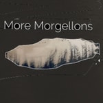 Logo of the podcast More Morgellons Podcast More Morgellons