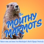 Mouthy Marmots of the Olympic Peninsula Podcast Mouthy Marmots of the Olympic Peninsula