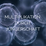 Logo of the podcast Multiplikation Podcast Multiplikation