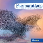 Podcast MURMURATIONS - Un podcast Biocoop pour inspirer un futur bio