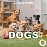 Logo of the podcast Must Love Dogs Podcast Must Love Dogs