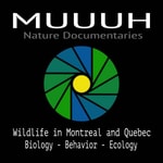 Logo of the podcast Muuuh Nature Documentaries Podcast Muuuh Nature Documentaries