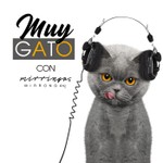 Logo of the podcast Muy Gato con Mirringa Mirronga Podcast Muy Gato con Mirringa Mirronga