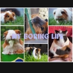Logo of the podcast My Boring Life 🤍 Podcast My Boring Life 🤍