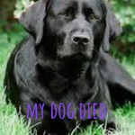 Logo of the podcast my dog died Podcast my dog died