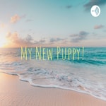 Podcast My New Puppy!