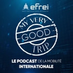 Logo of the podcast My Very Good Trip Podcast My Very Good Trip