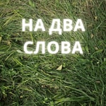 Logo of the podcast На два слова Podcast На два слова