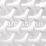 Logo of the podcast Narcissique Podcast Narcissique
