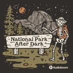 Missing podcast logo