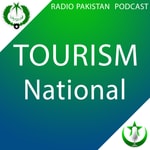 Logo of the podcast National Podcast National