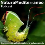 Logo of the podcast Natura Mediterraneo Podcast Podcast Natura Mediterraneo Podcast