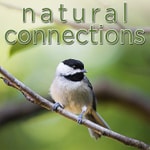 Logo of the podcast Natural Connections Podcast Natural Connections
