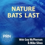 Logo of the podcast Nature Bats Last Podcast Nature Bats Last