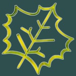 Logo of the podcast NATURE' Insolite Podcast NATURE' Insolite