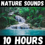 Logo of the podcast Nature Sounds - 10 Hours Podcast Nature Sounds - 10 Hours