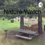 Logo of the podcast Nature Watch Podcast Nature Watch