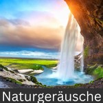 Logo of the podcast Naturgeräusche Podcast Naturgeräusche